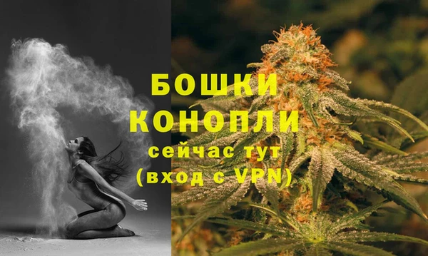 сатива Верхний Тагил