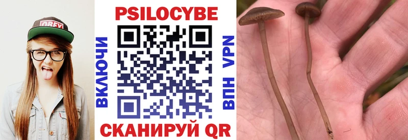 Псилоцибиновые грибы мухоморы  Купить закладки  Приозерск 